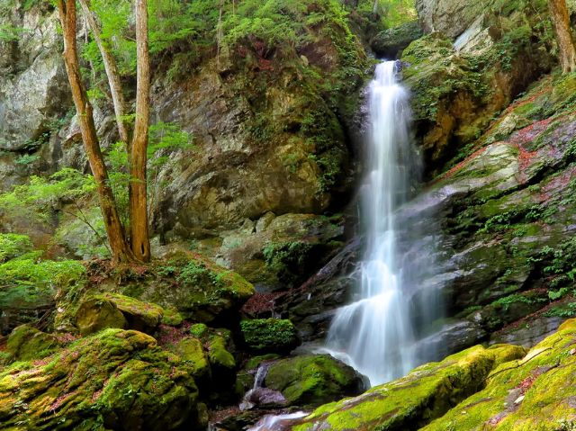 涼しさが心地よい不動滝